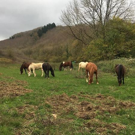 Le Hameau De Sylvanes Bagian luar foto