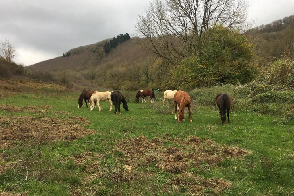 Le Hameau De Sylvanes Bagian luar foto